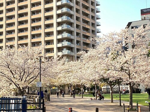 Внешний вид отеля Ryokan Sansuiso в Токио, фото 1