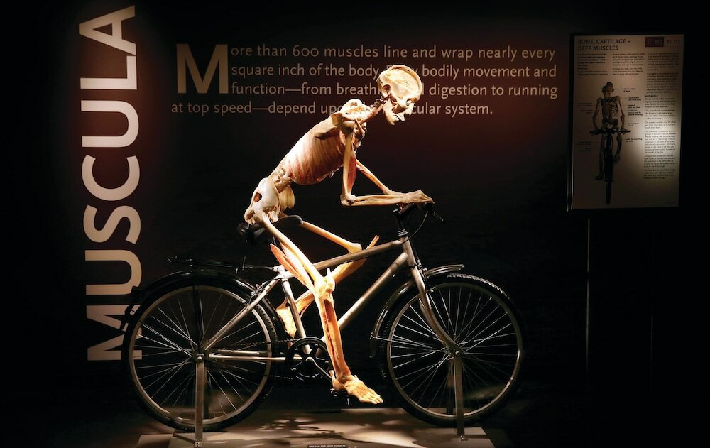 Фото Luxor Hotel and Casino