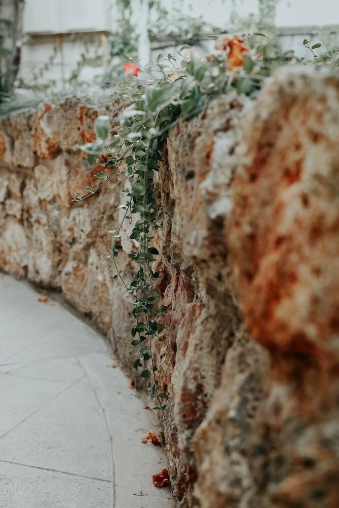 Фото Hotel Crystal