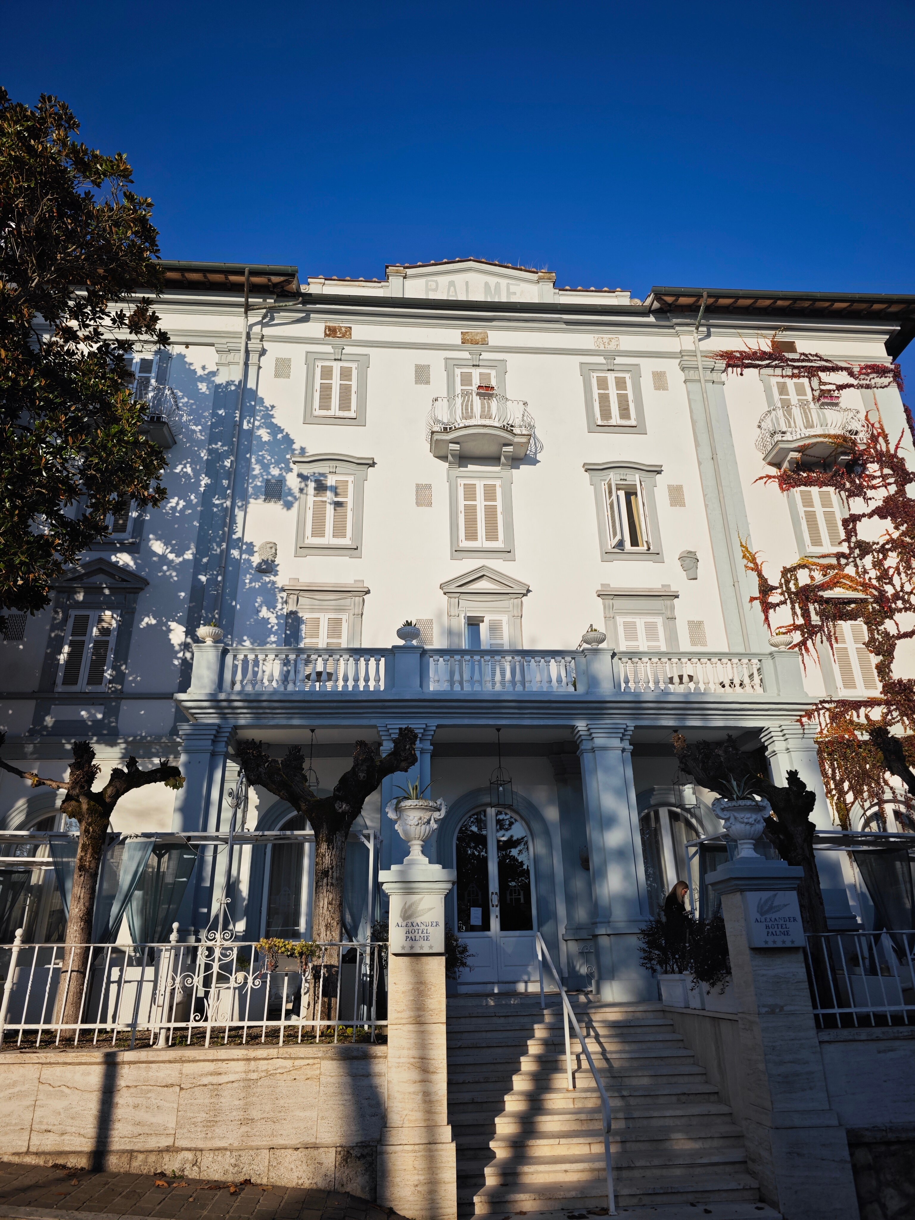 Фото Hotel Alexander Palme