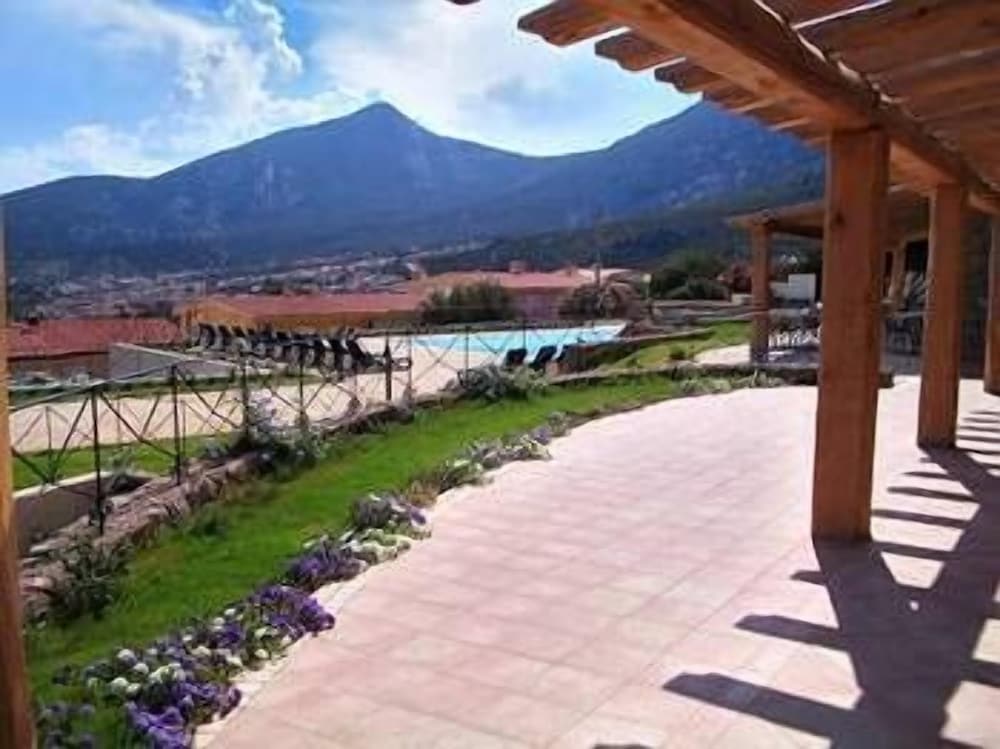 Фото 206369140506