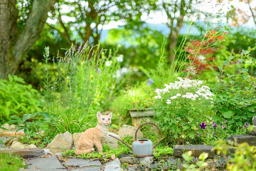 Фото Yufuin Waraneko no Yado