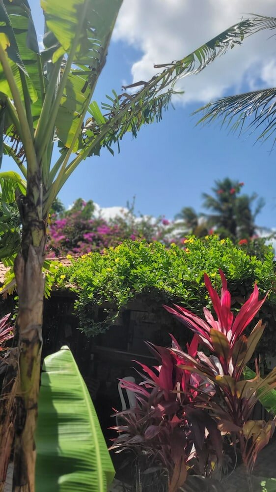 Фото Pousada Ello