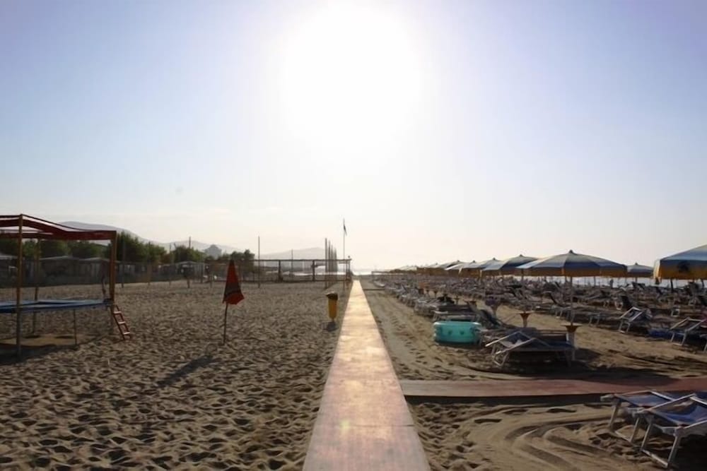 Фото Dream Camping