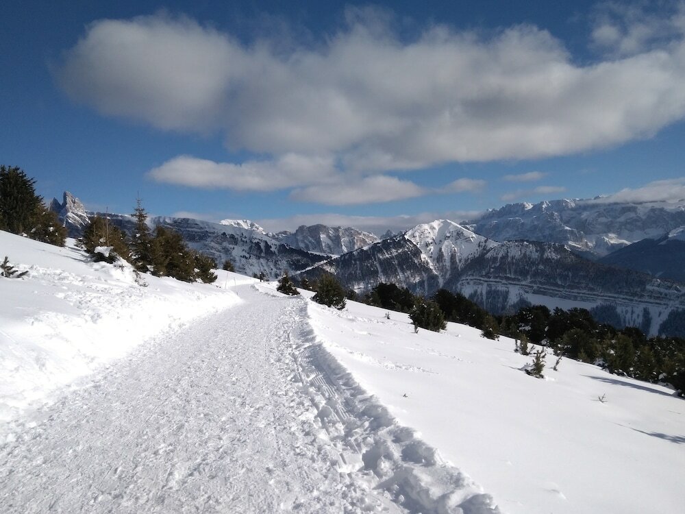 Фото Hotel Garni Villa Park