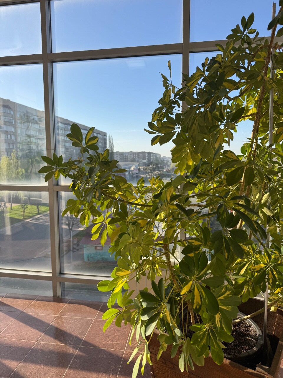 Фото Белгравия