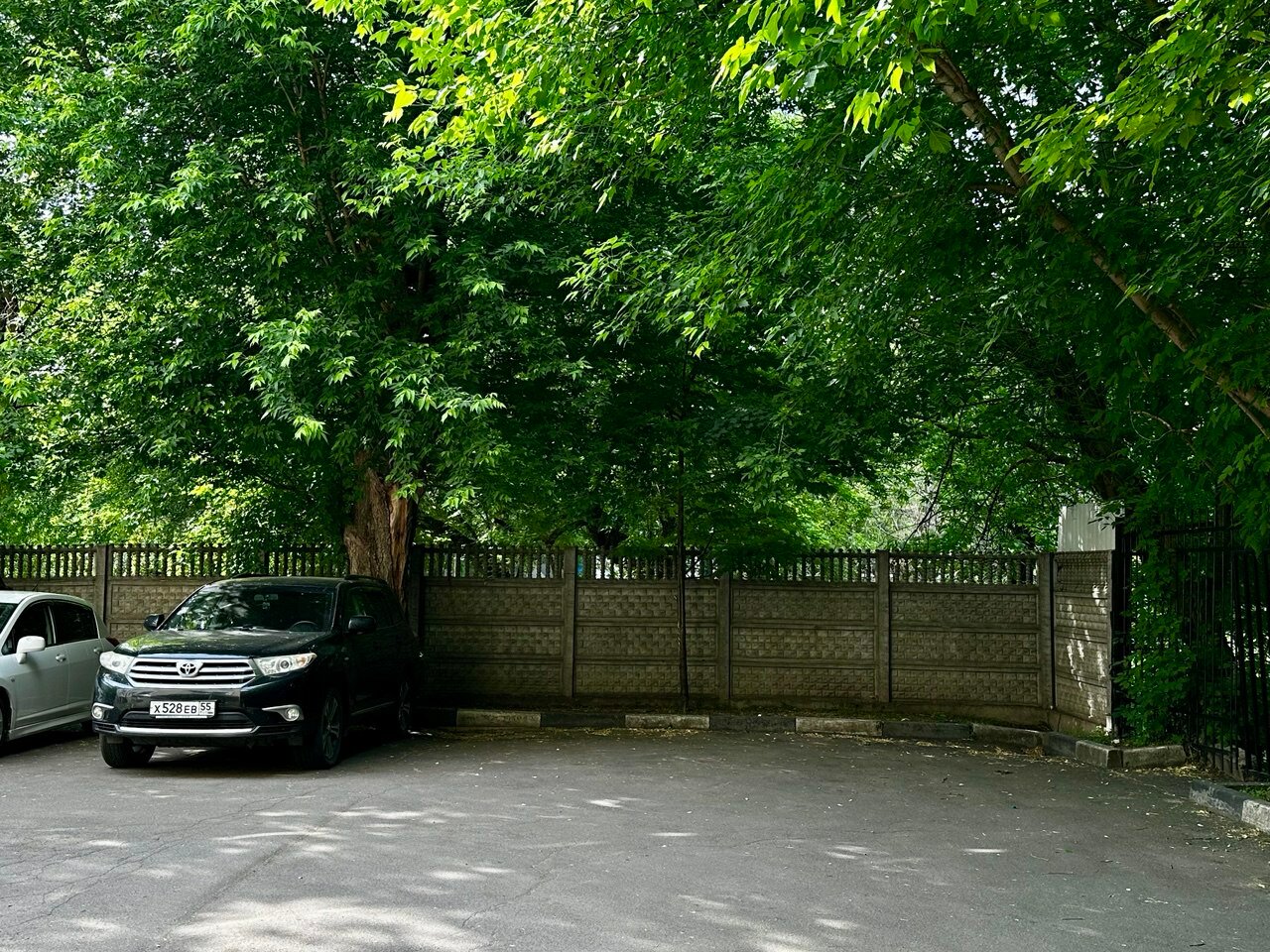 Фото Династия Лефортово