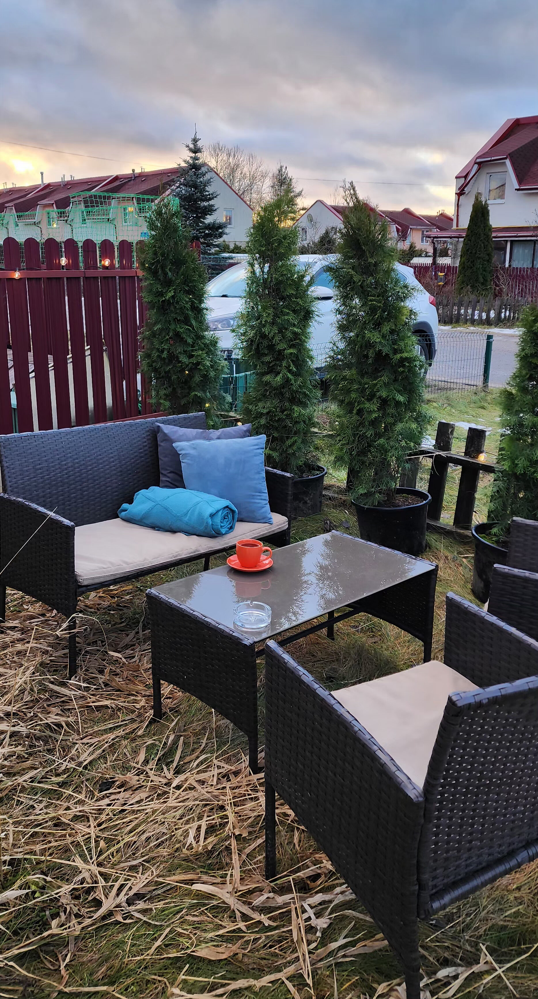 Фото Уютная Орхидея