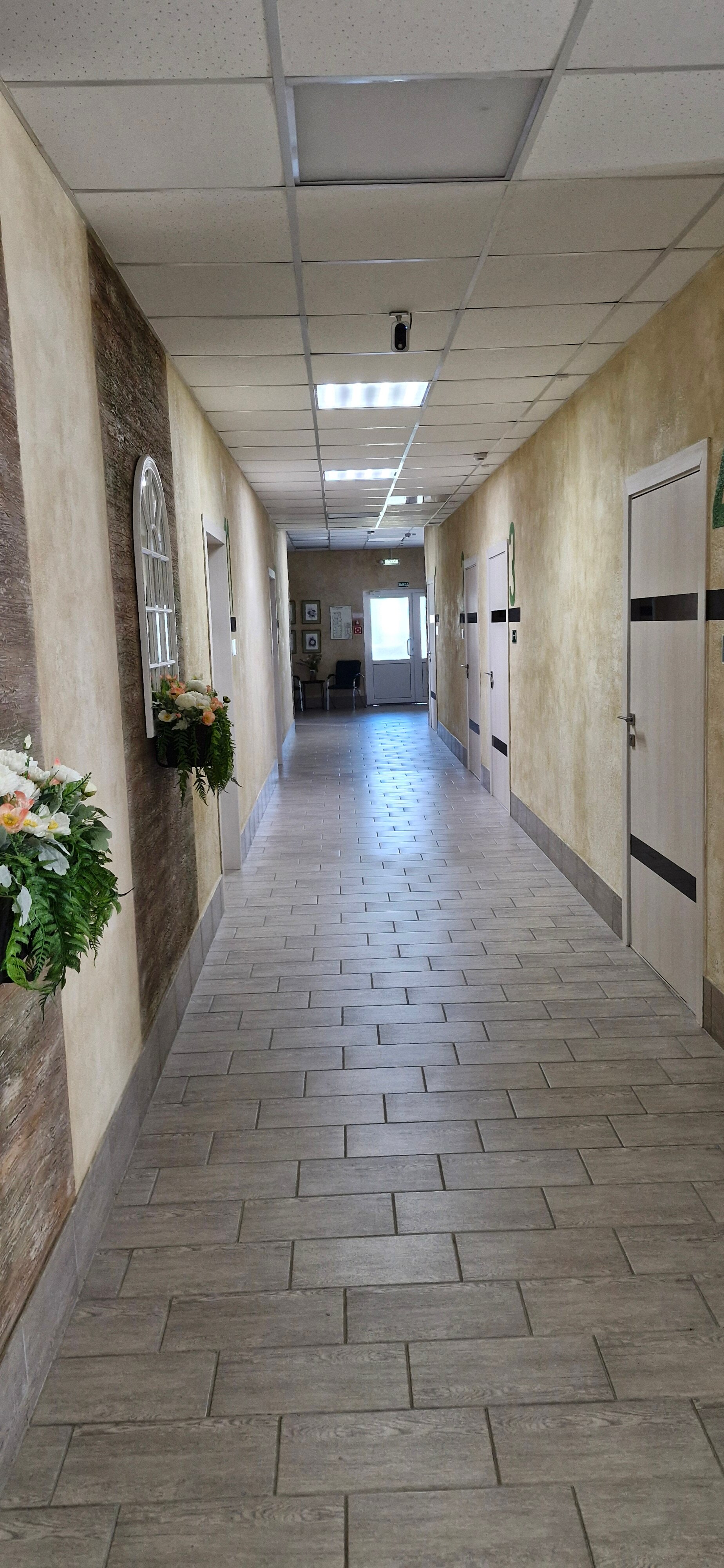 Фото Подорожник