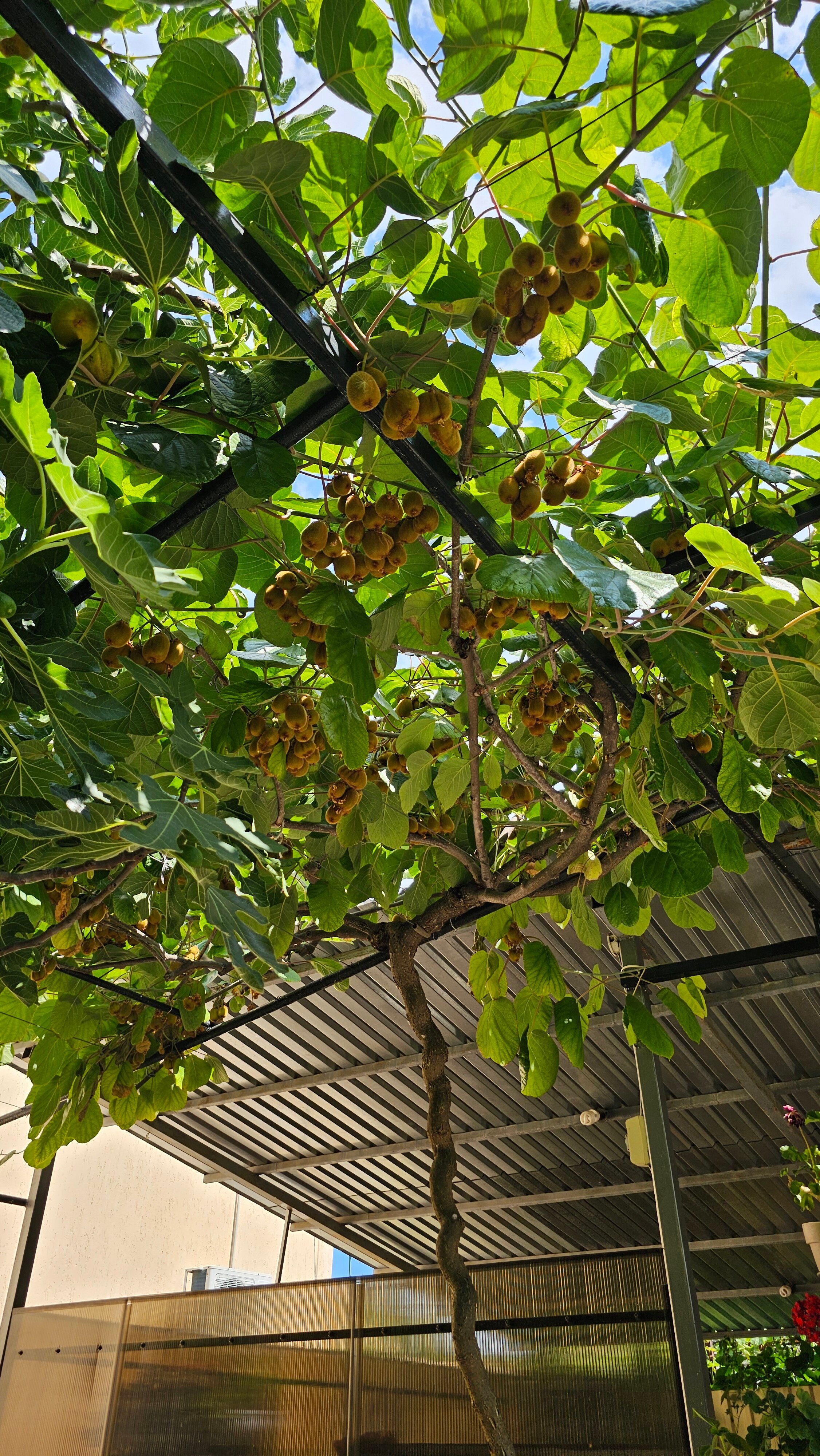 Фото У Татьяны