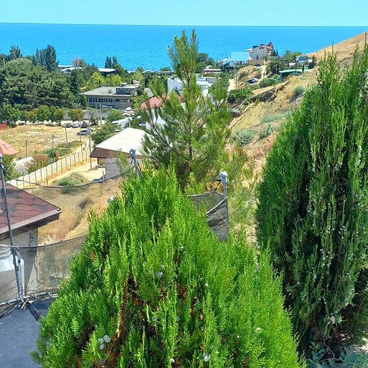 Фото Солярис