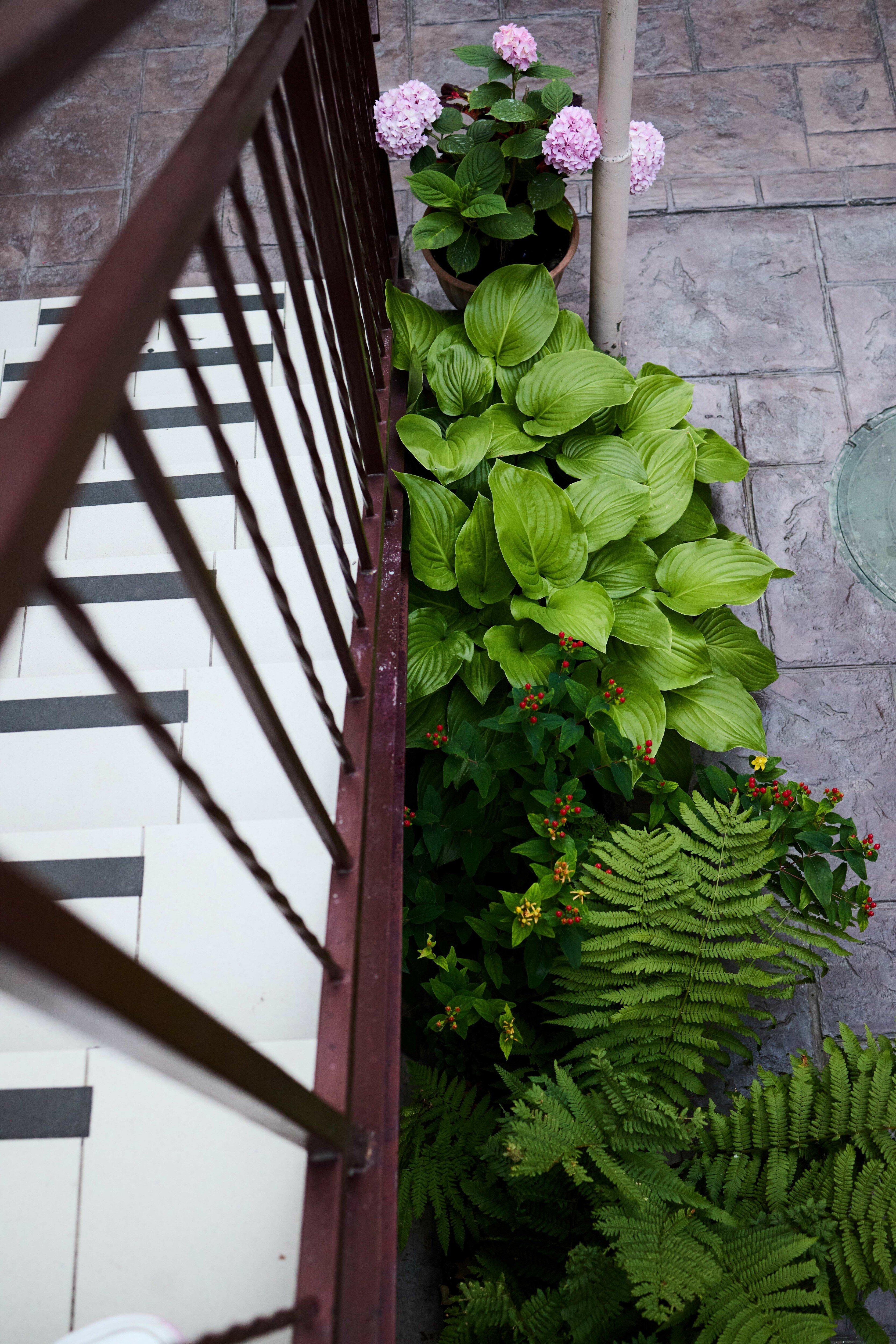 Фото Дарья +