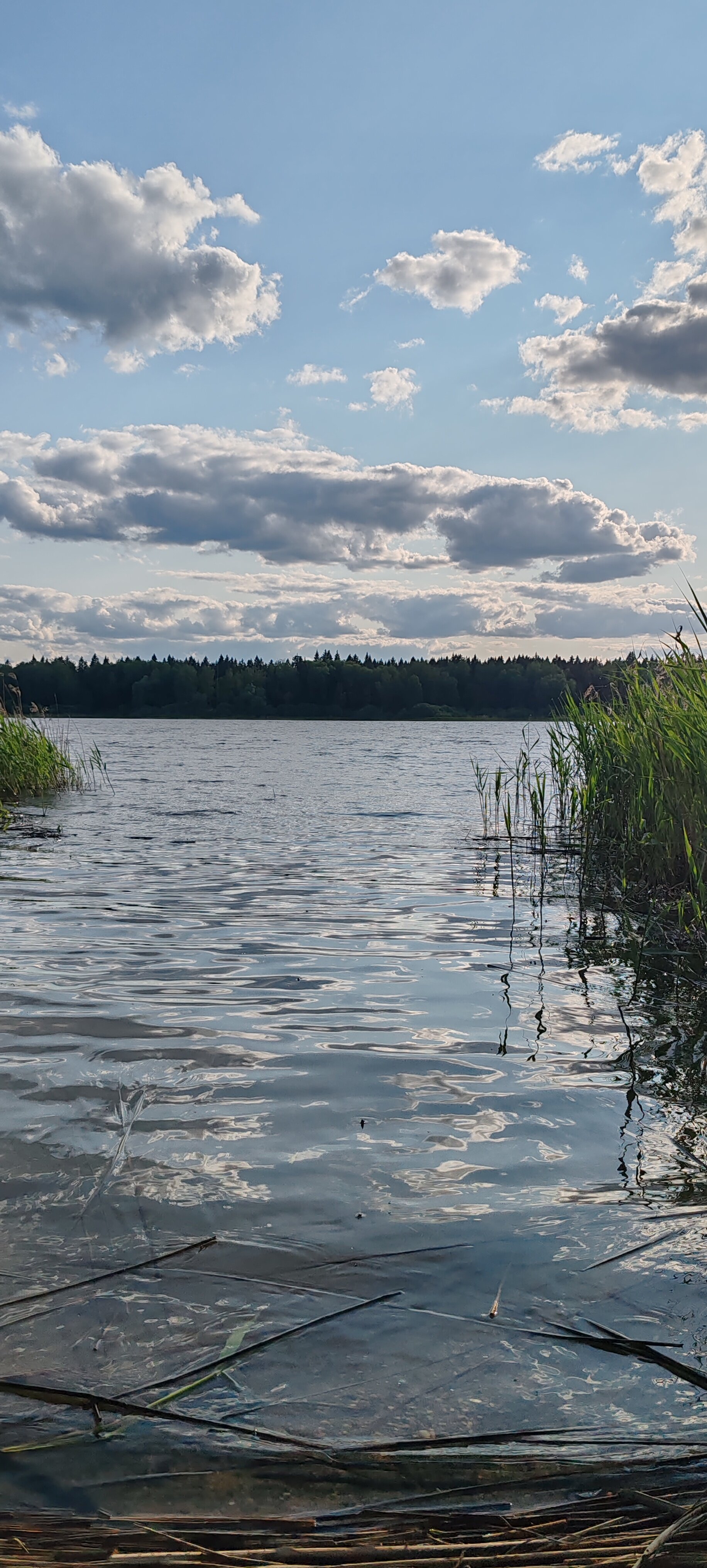 Фото Modom Village