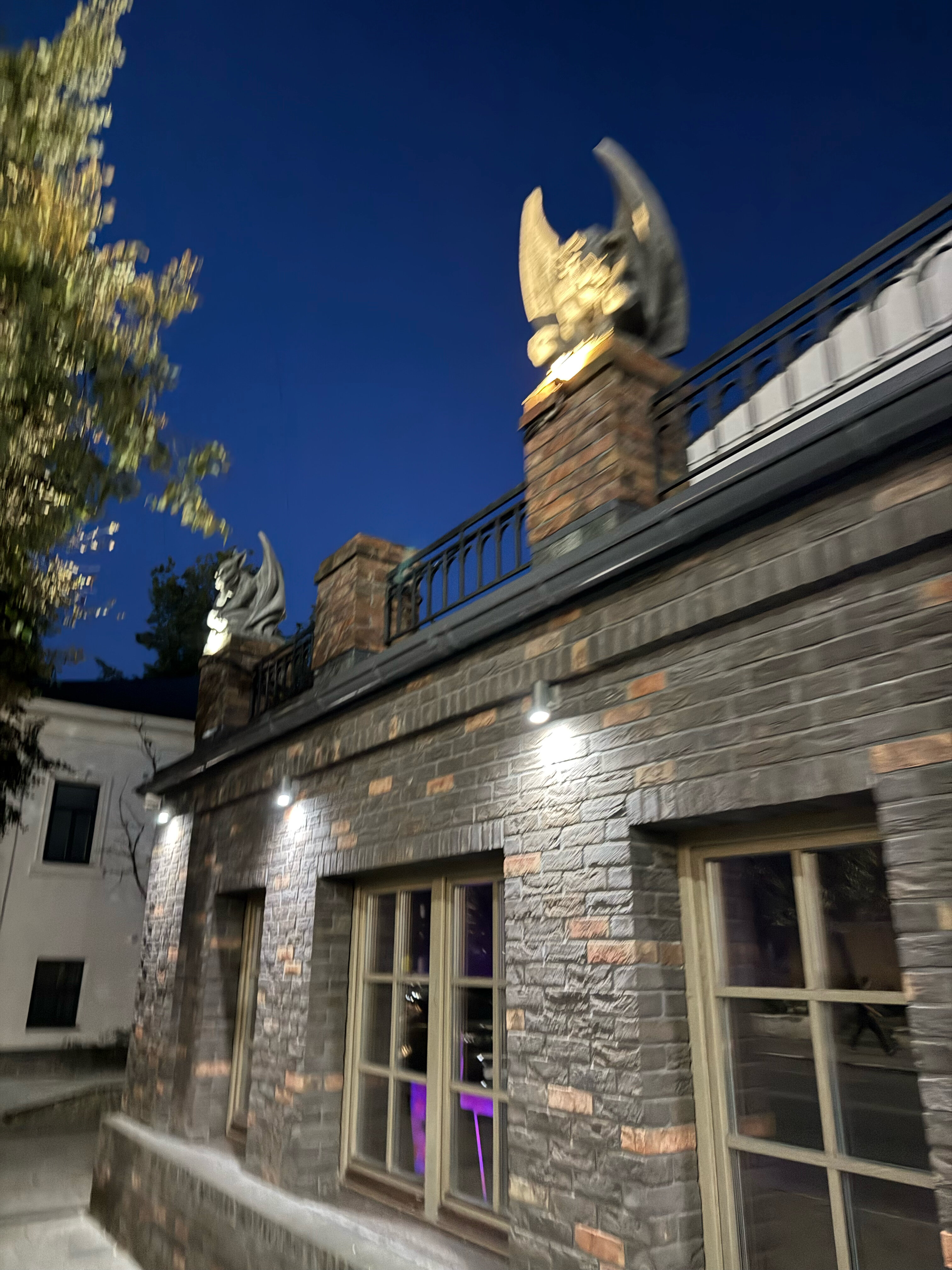 Фото Дом с гаргульями