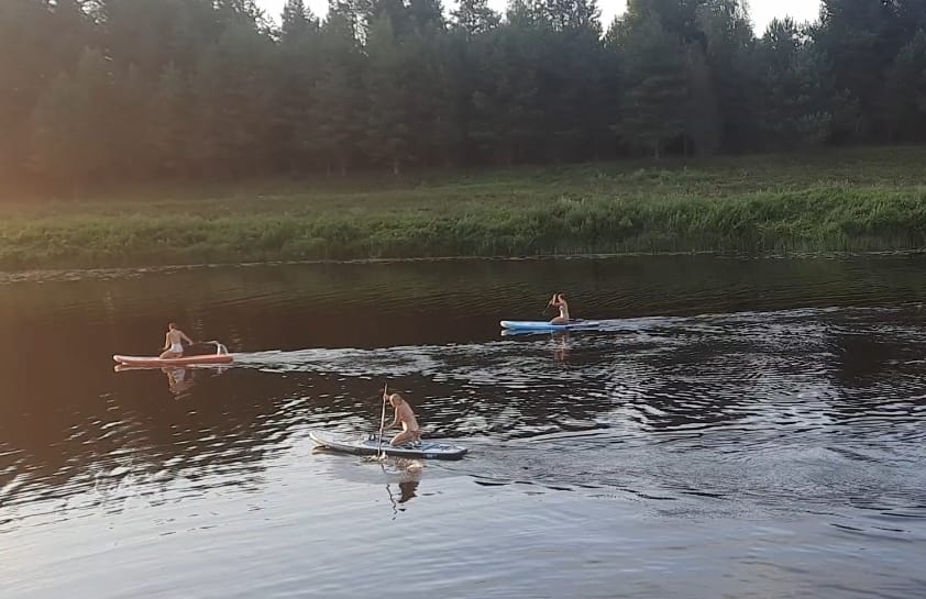 Фото Медведица