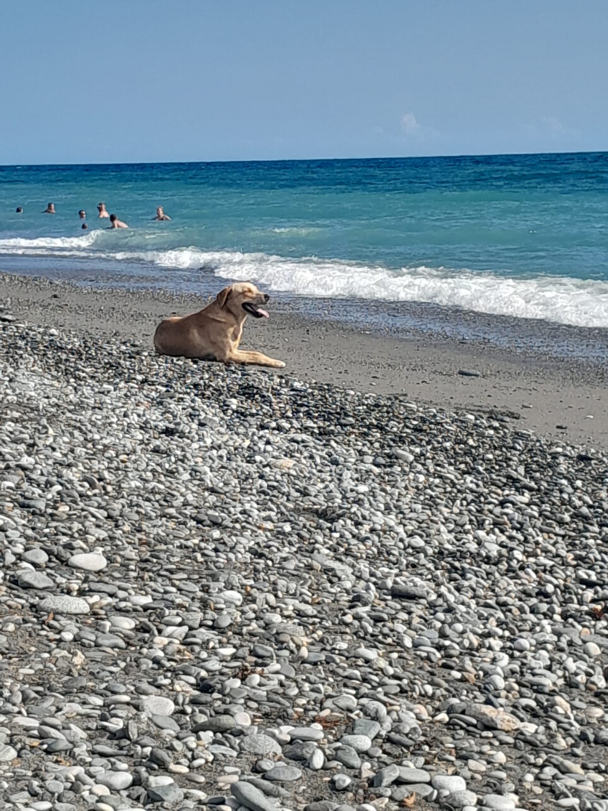 Фото Айсберг