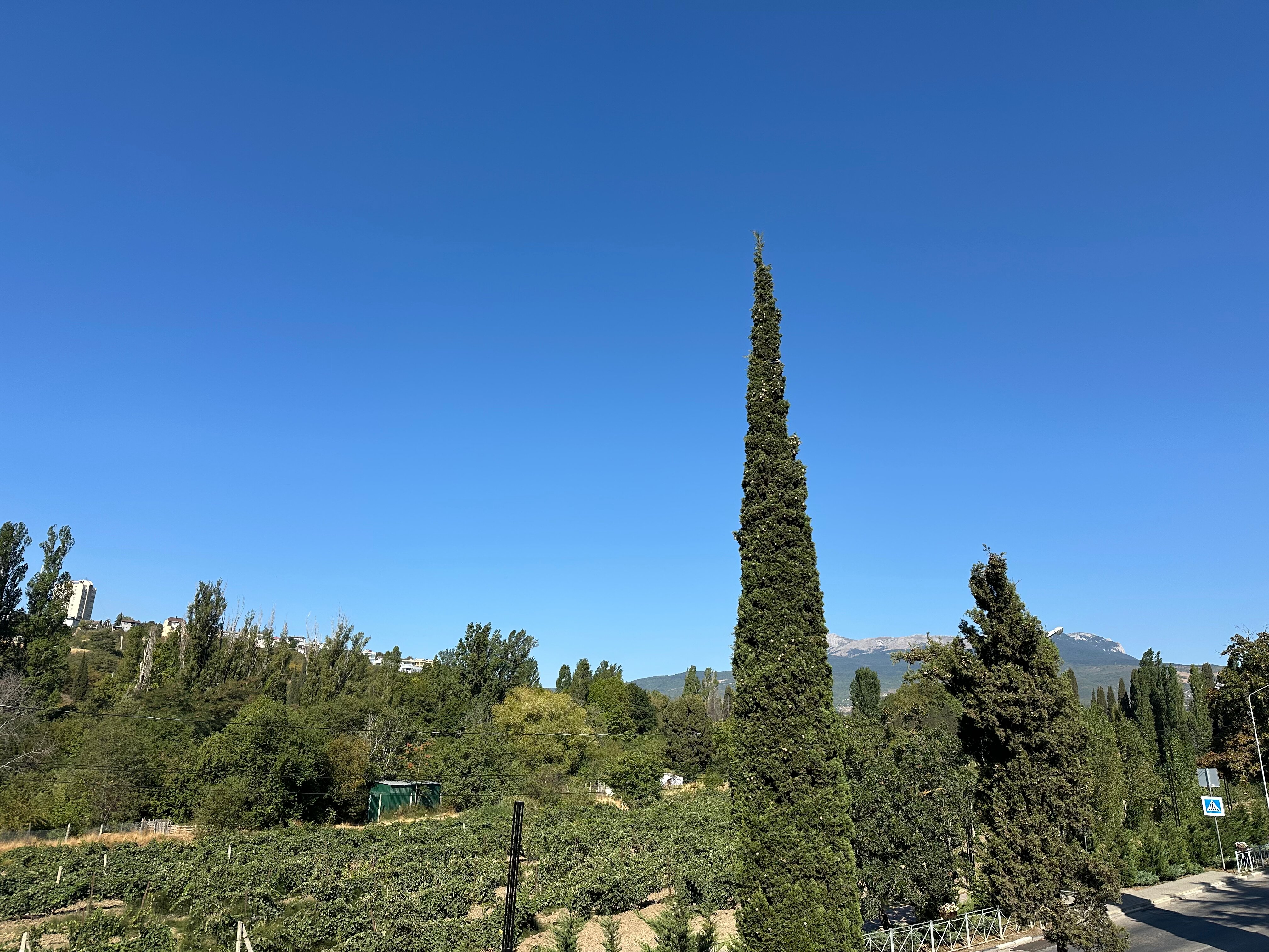 Фото Равенна