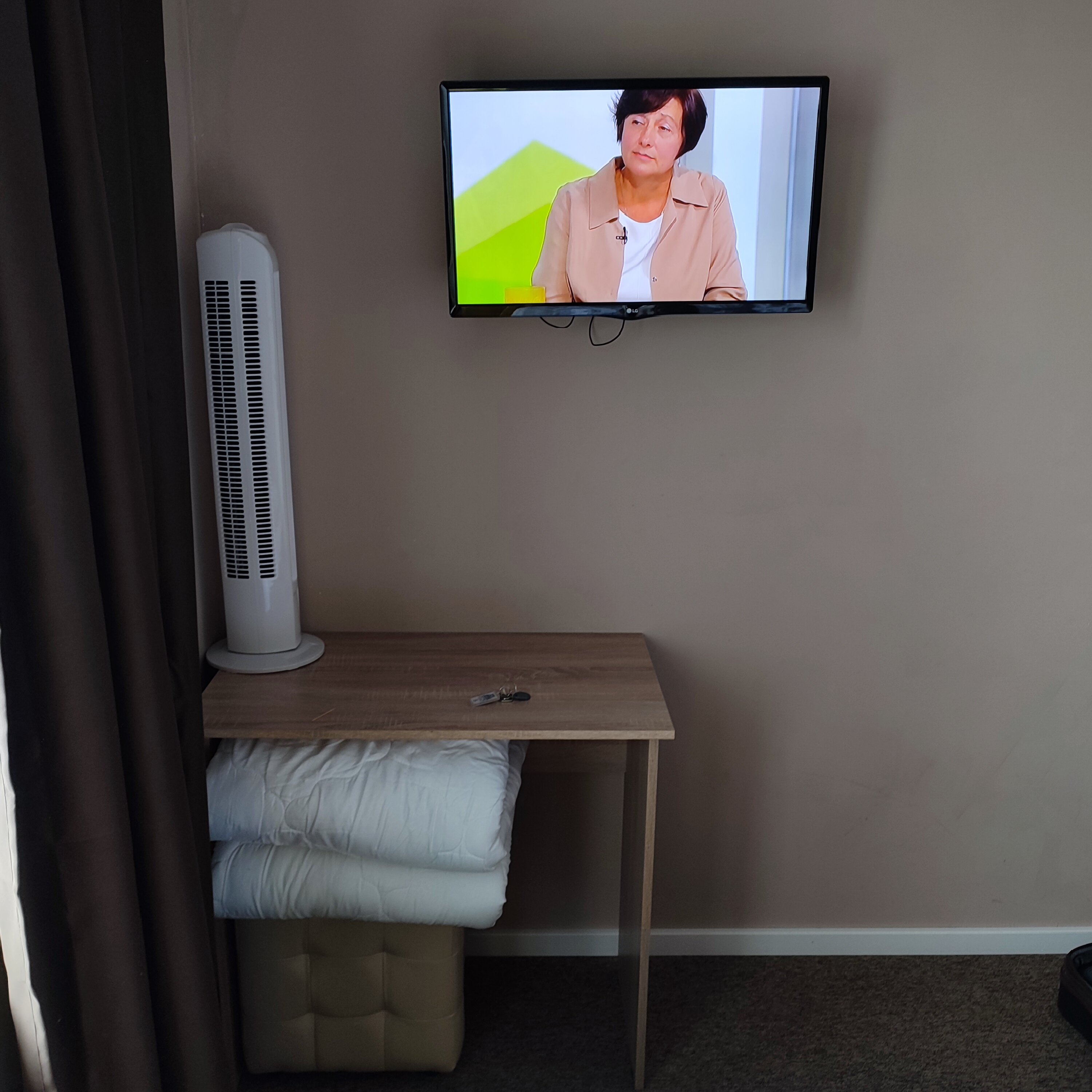 Фото Сова в Шереметьево