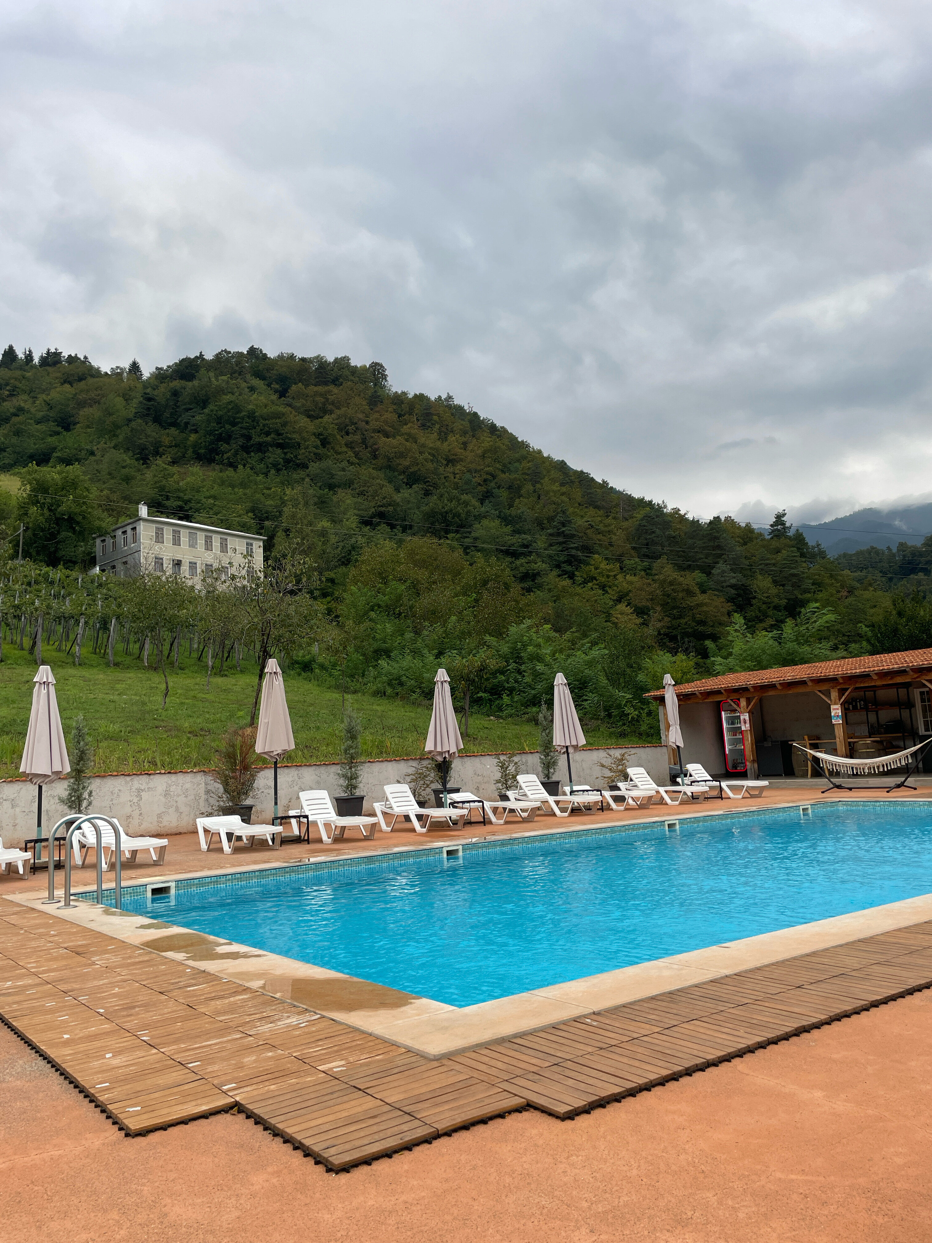 Фото Chateau Iveri