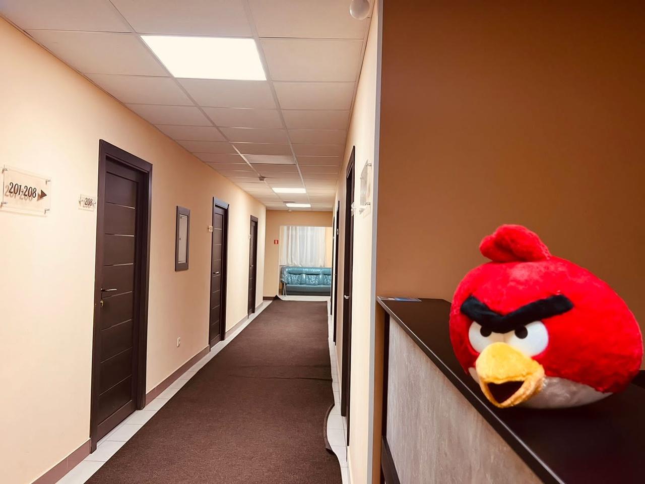 Фото Наш Питер