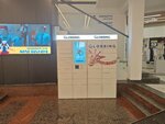 Globbing (Abovyan Street, 18), parcel automat