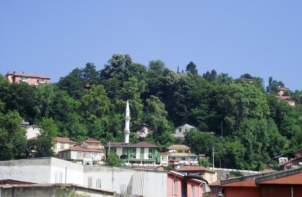 Mosque Baştarla Mosque, Zonguldak, photo