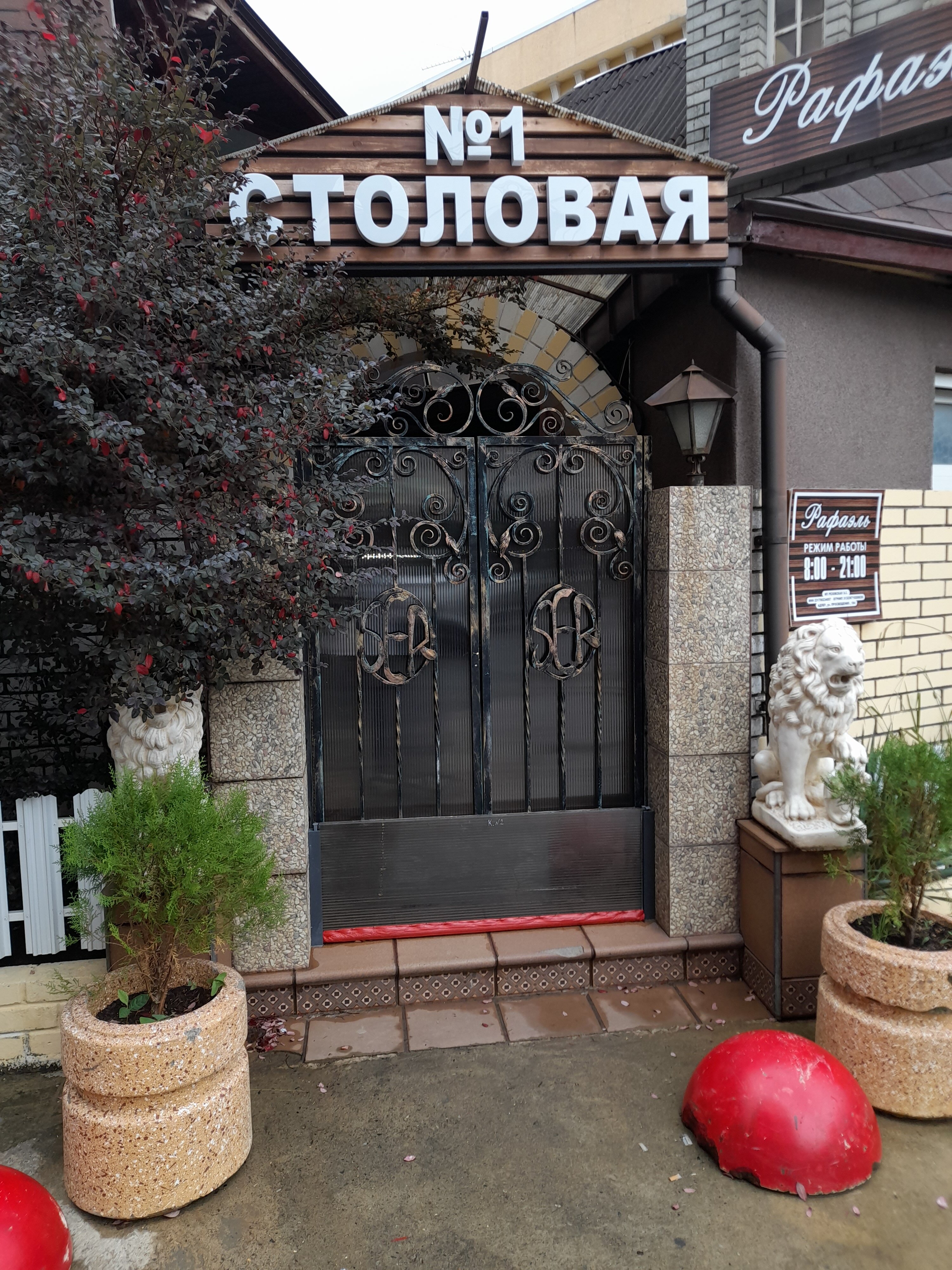 Фото Рафаэль