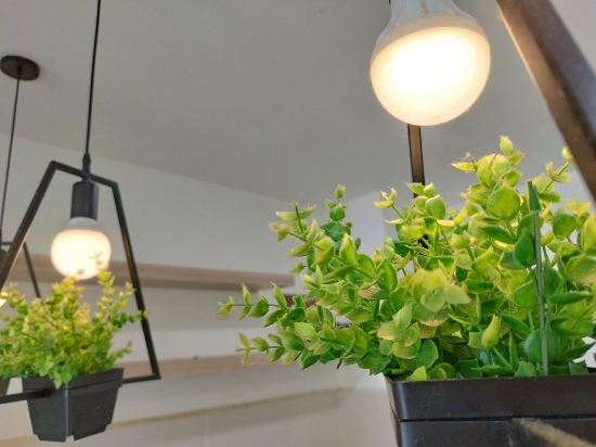 Фото 38910995053