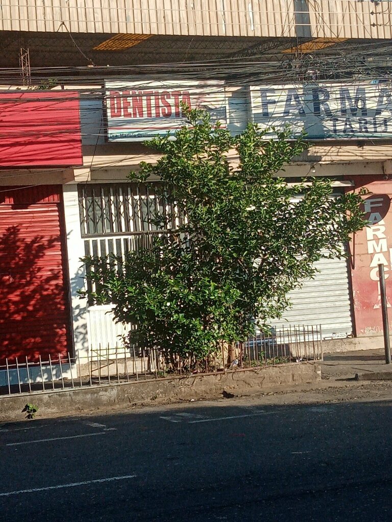 Dental clinic Dra. Mariela Orellana, Santa Cruz de la Sierra, photo
