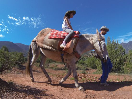 Фото Kasbah Africa