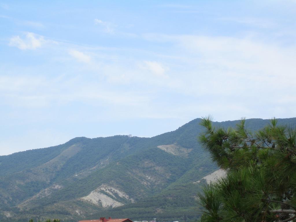 Фото Империал