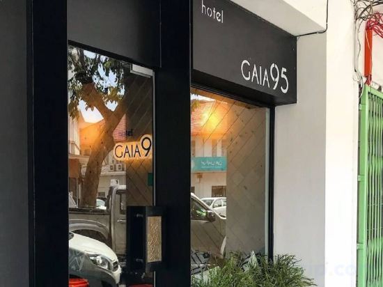 Фото Hotel Gaia 95