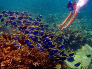 Гостиница Отель Octave Maldives