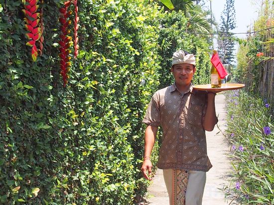 Фото Gajah Mina Beach Resort