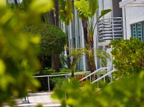 Фото Kimpton Surfcomber Hotel, an Ihg Hotel