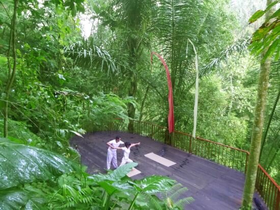 Фото 164162676469