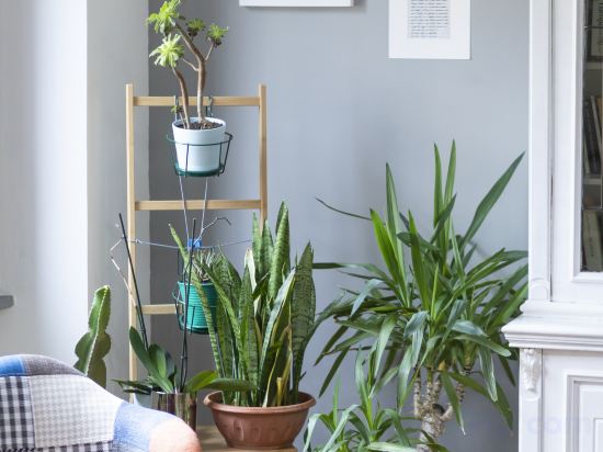 Фото Hotel Miceli - Civico 50