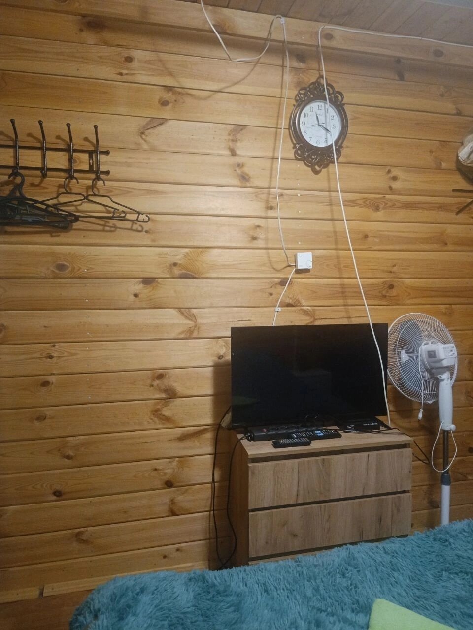 Фото Стрижели