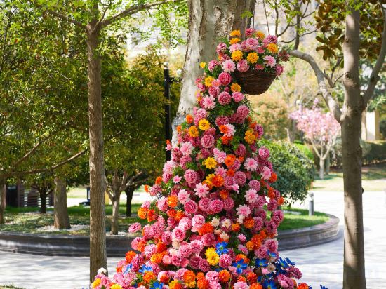 Фото 49132333548