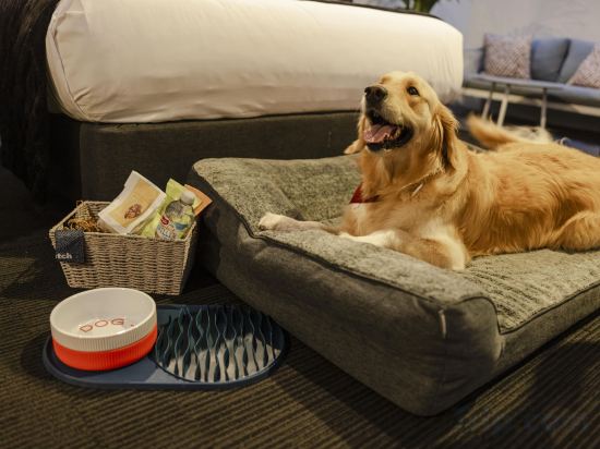 Фото Sage Hotel James Street