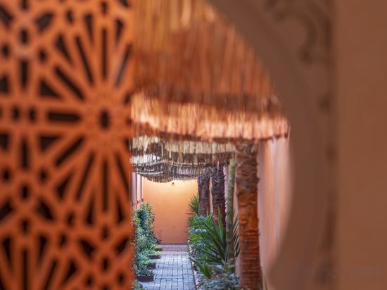 Фото 181223597734