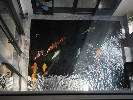 Фото May Crystal Pool Villa 5brs near My Khe beach