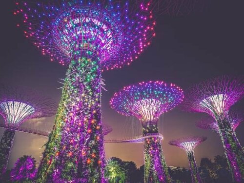 Внешний вид отеля Holiday Inn Express Singapore Orchard Road в Сингапуре, фото 5