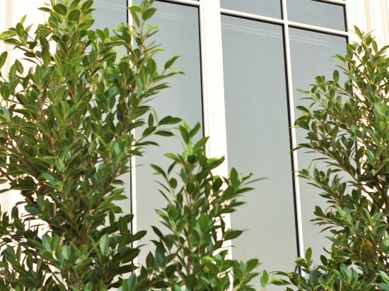 Фото Mercy Hostel