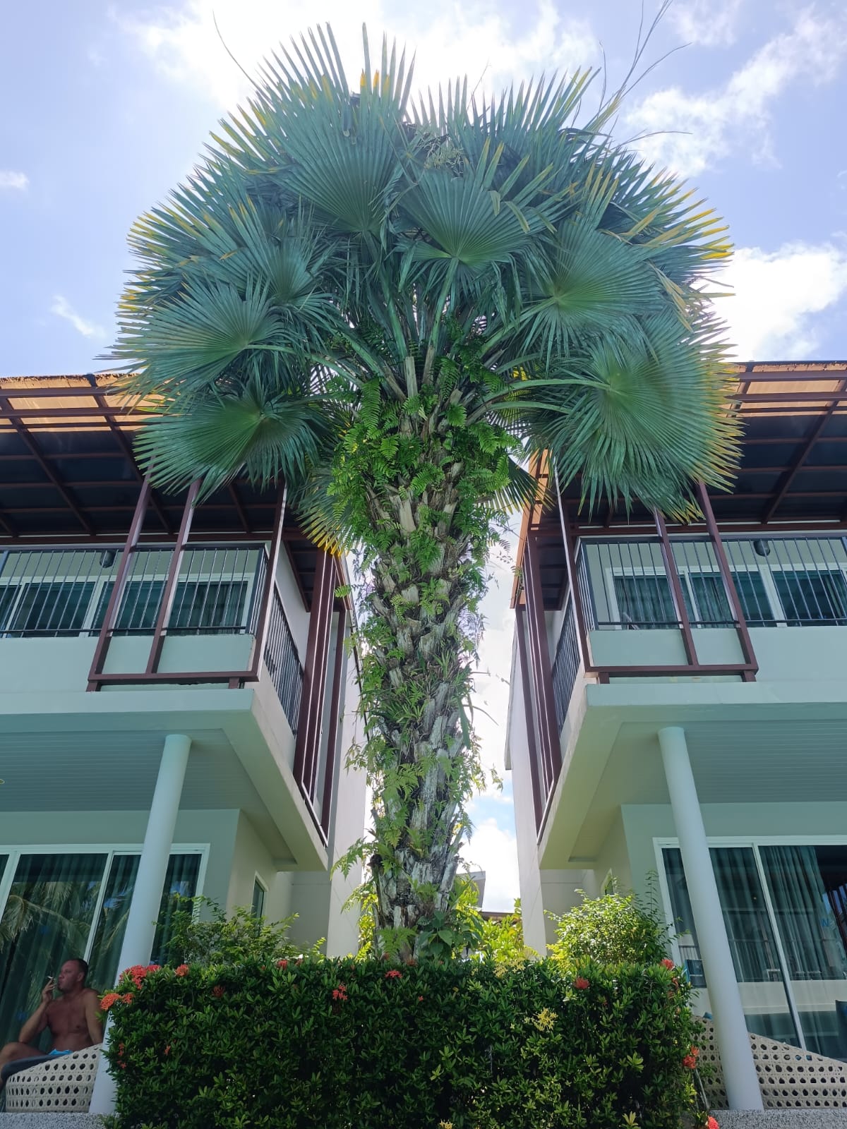 Фото The Waters Khao Lak by Katathani