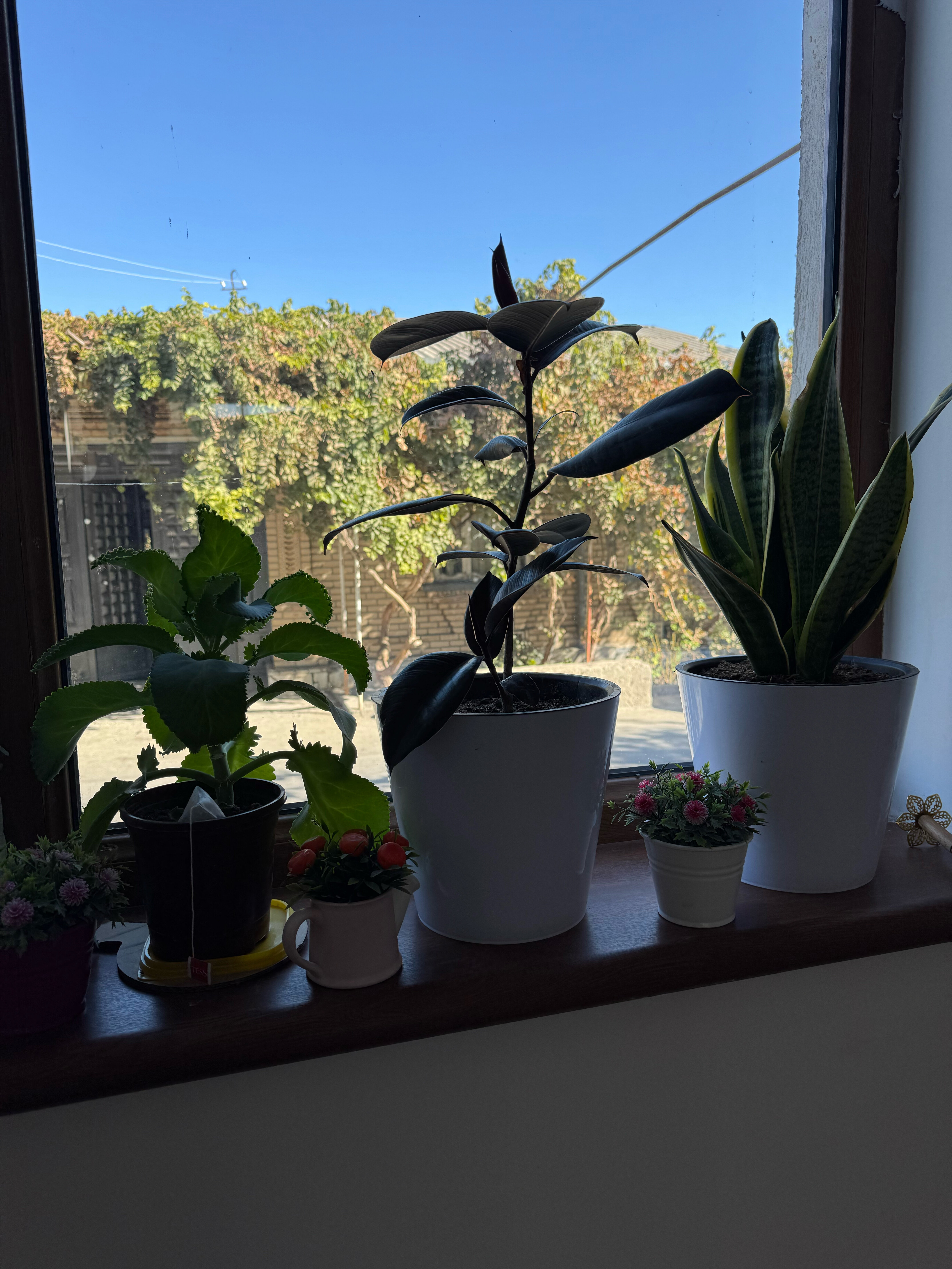 Фото Отель 10$