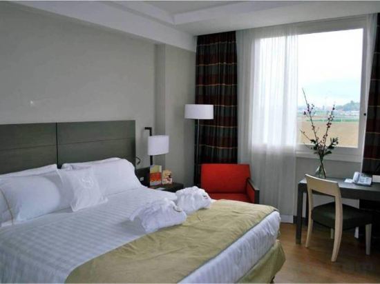 Фото Sheraton Parco De Medici Rome