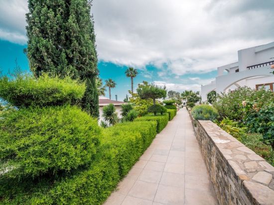 Фото The Olive Tree Hotel