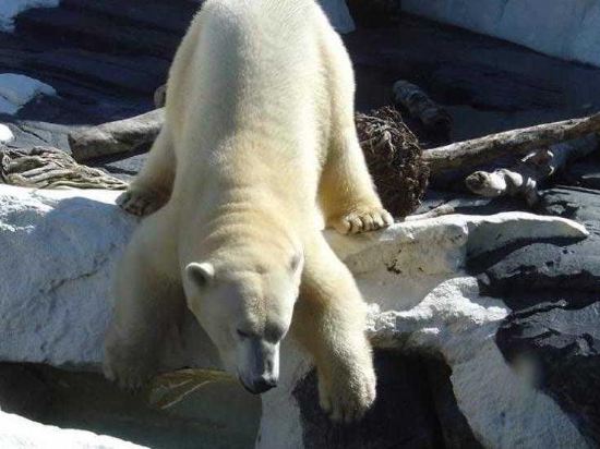 Фото San Diego Marriott Del Mar