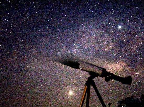 Фото Astroport Sariska Treetop by Eight Continents